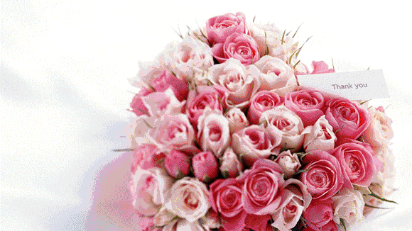 是情人节99元享288元保加利亚情人限定礼盒33朵进口玫瑰用鲜花说爱你