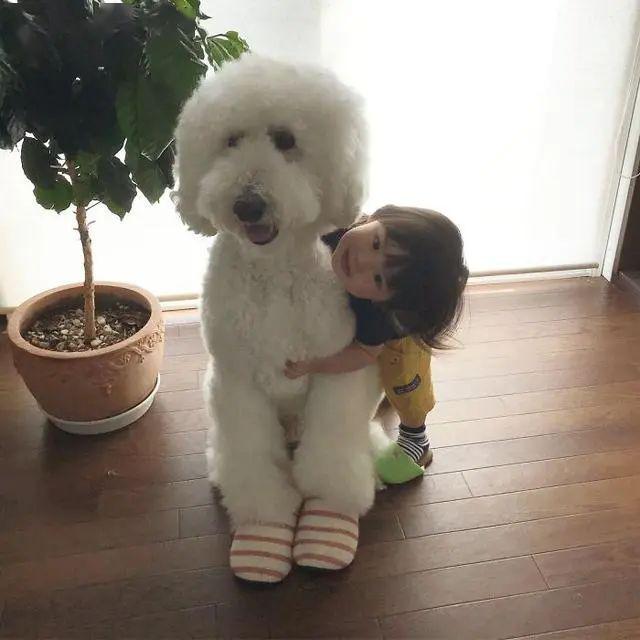 ddad45aa30f84805b76ab4a3db1354dc.jpeg