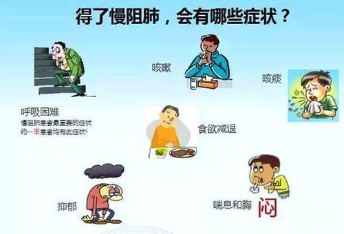 ddf82ab9636e487eb6bea15f35f50455.jpeg
