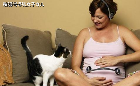 孕期真的不能养宠物么？看看专家怎么说，这才是正解，别不信