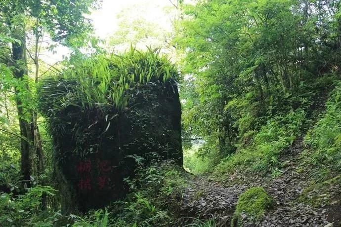 一个建在火山口的古村落——三明明溪翠竹洋