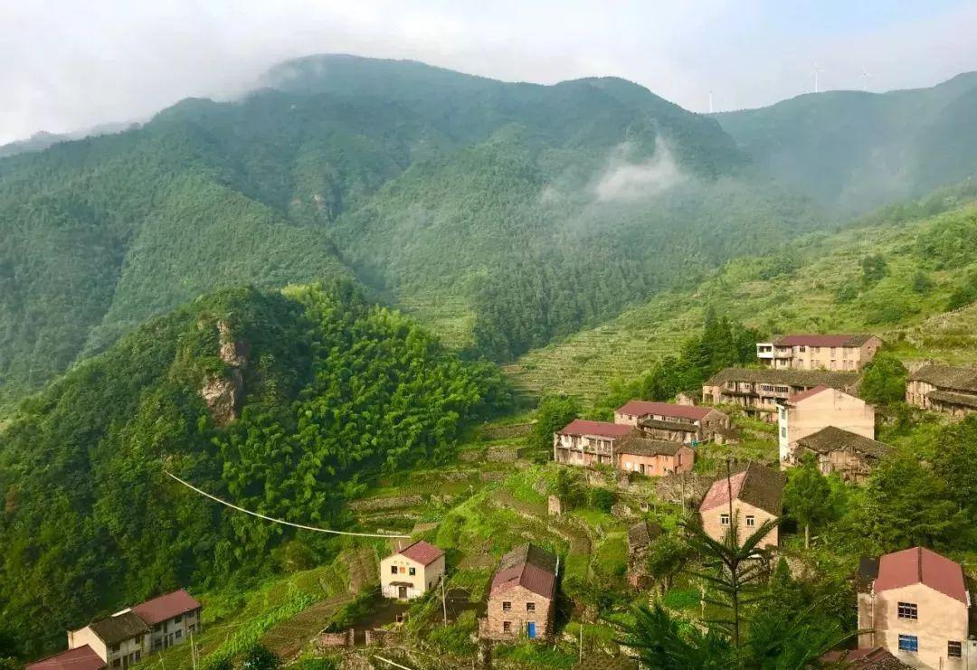 这里是临海阵车村台州海拔最高的一座高山村