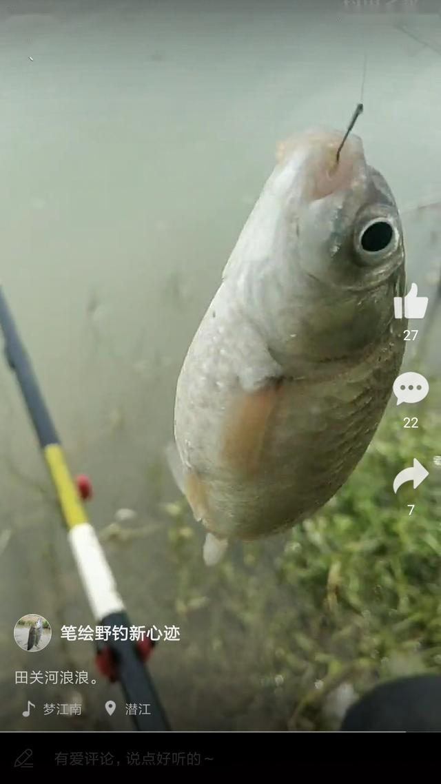 f44531afae414f599edf3f184f3fdbf8.jpeg