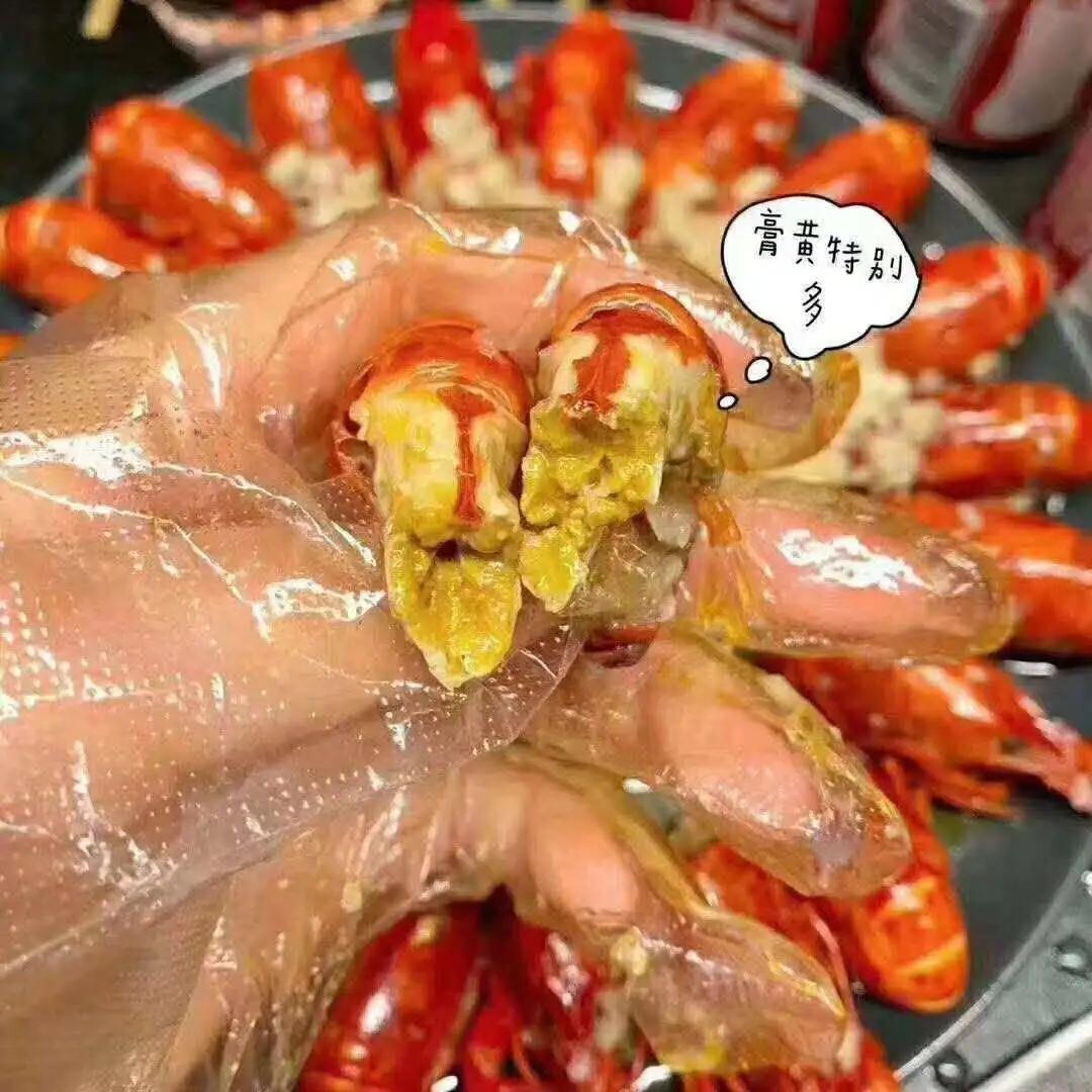 南京哪里能吃到最好吃的小龙虾？ - 知乎