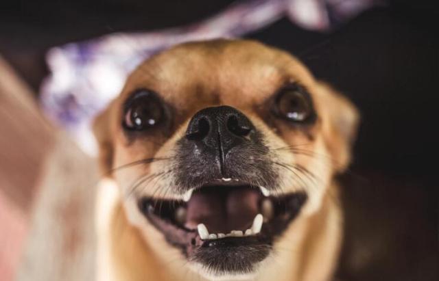 fa284f41776b4e7ab11fadce945c12de.jpeg