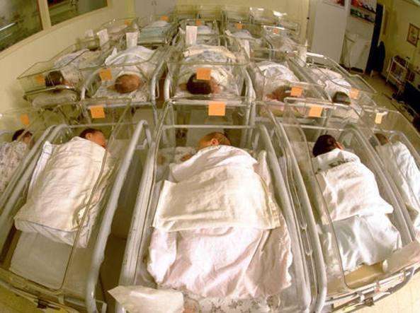 判决书中的错换人生：出生仅5分钟被抱错，有双