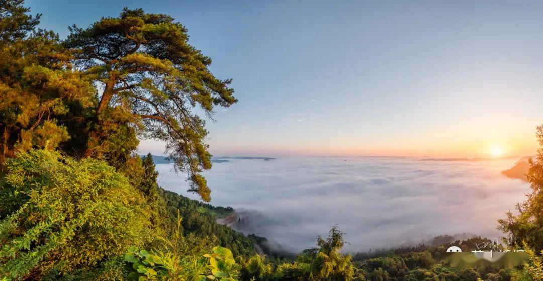 全省唯一!营山太蓬山国家森林公园总体规划获得国家批准