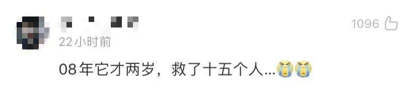 汶川地震搜救犬沈虎雕像落成，训导员泣不成声