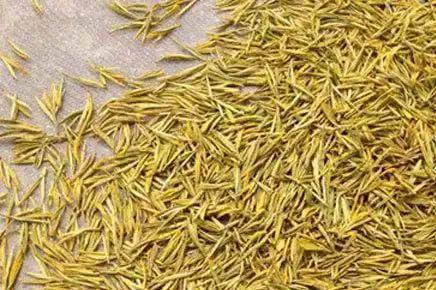 「物质」怎么喝茶最健康?六大茶类的功效全在这!,