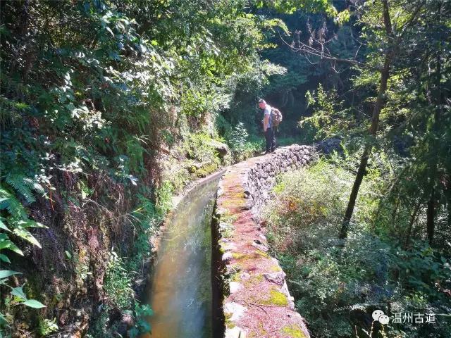 温州双坑岭古道,瀑飞如练,山耸入云,村若桃源