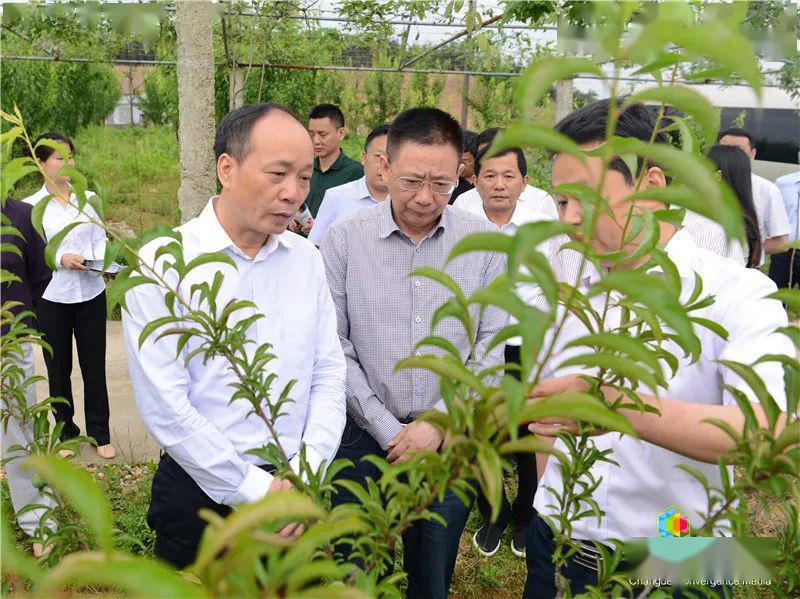 鼎城黄土店镇人口_鼎城一中(3)