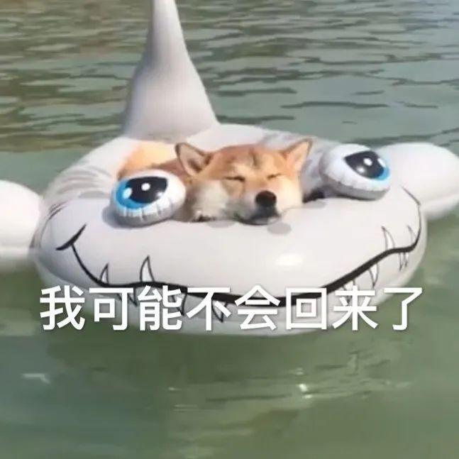 低头认错_表情