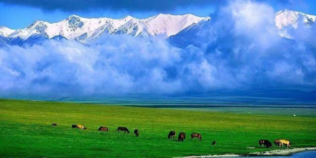 中国最美大草原 3888ed0f3b9a4b6ebdc53558d56f69be.jpeg