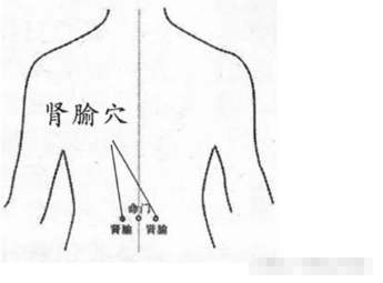 肾俞穴与命门穴的定位/图