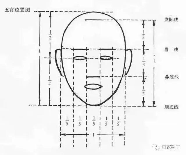 正面头像会有严格的三庭五眼的标准 其次还要根据绘画对象来定 三庭