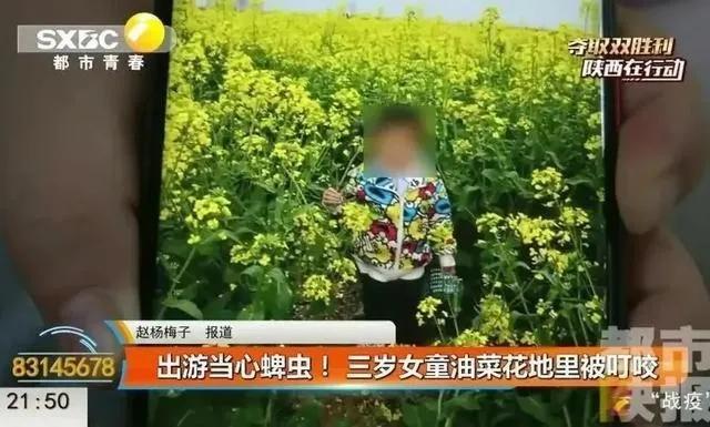 [男童]宝宝更易中招，已数千人被咬伤警惕！13岁男童被虫咬生命垂危