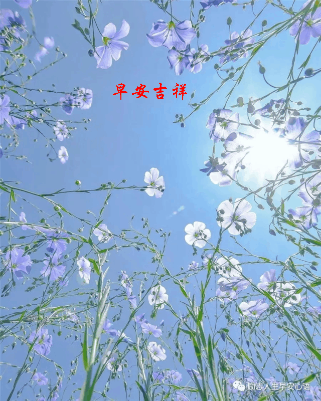 640_800 竖版 竖屏