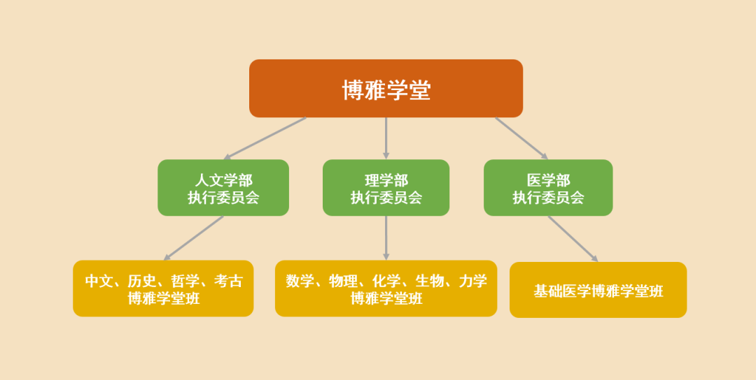 4分钟！解读北大强基计划，展现“博雅学堂”全过程培养