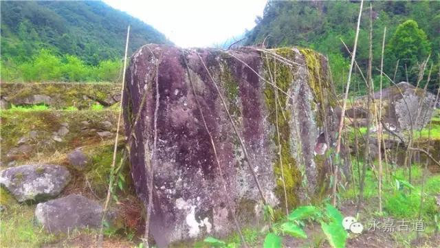 原创温州避岭古道,一条当年朝廷拨款修建的古道