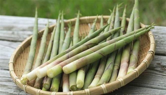 笋是什么读音 52af1fdc21f748399df9f59d3f19007c.jpeg