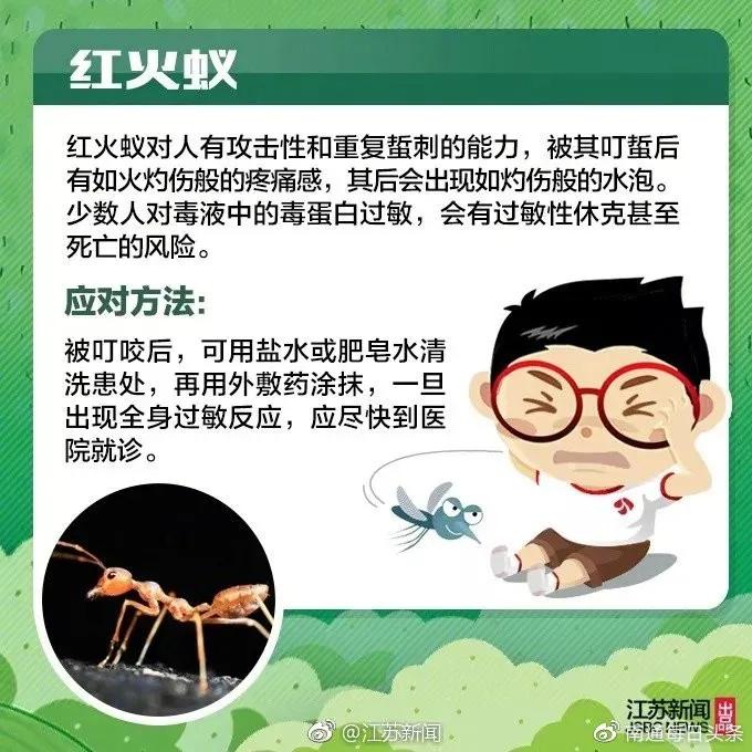[男童]宝宝更易中招，已数千人被咬伤警惕！13岁男童被虫咬生命垂危