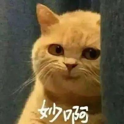 数学@学霸的学累了会干出这种事!【学霸】你绝对想不到