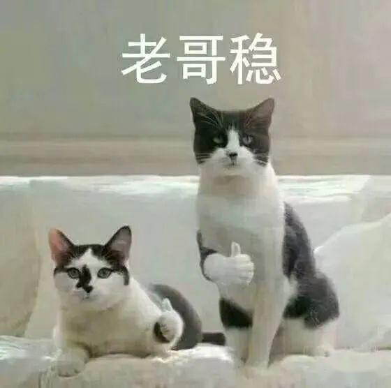 数学@学霸的学累了会干出这种事！【学霸】你绝对想不到