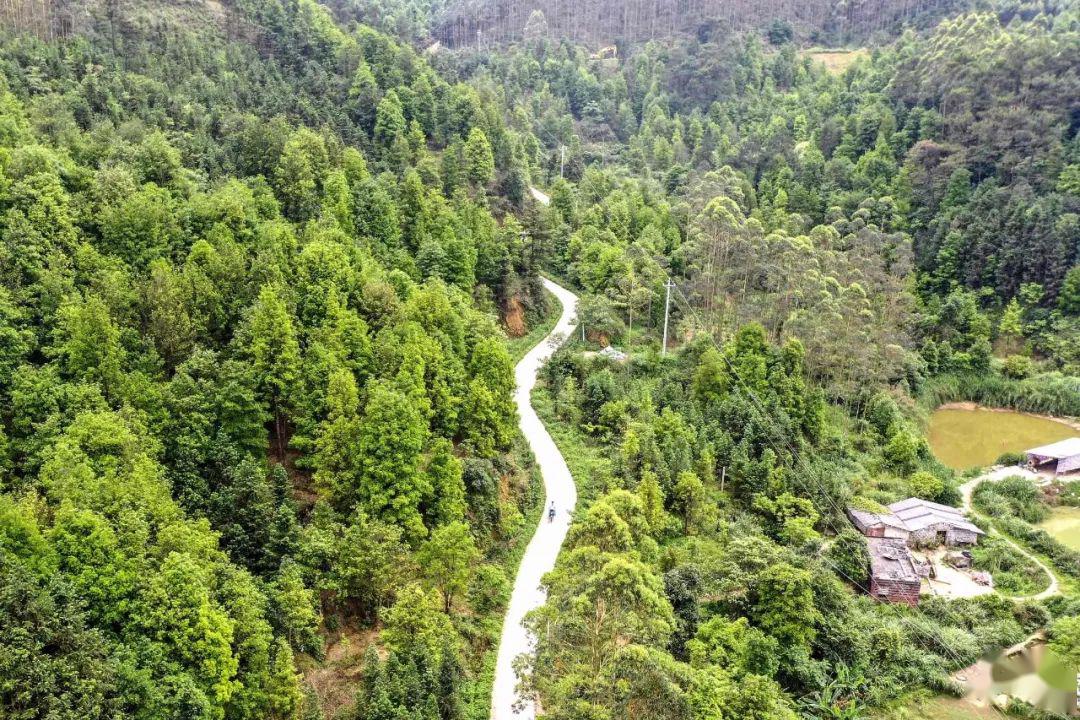 大容山人口_大容山森林公园图片(2)