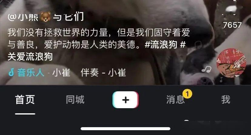 抖音文案怎么写吸引人?最新标题合集,偷偷收藏