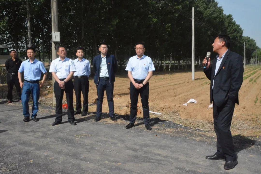 小孟镇召开党建双基推进暨村集体经济发展现场观摩会