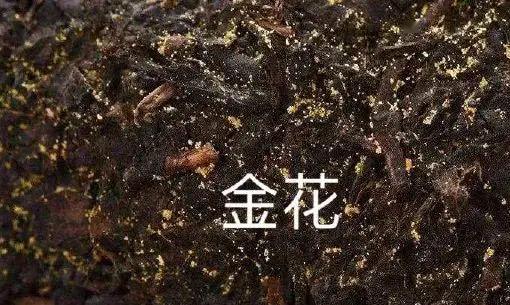 「物质」怎么喝茶最健康?六大茶类的功效全在这!,