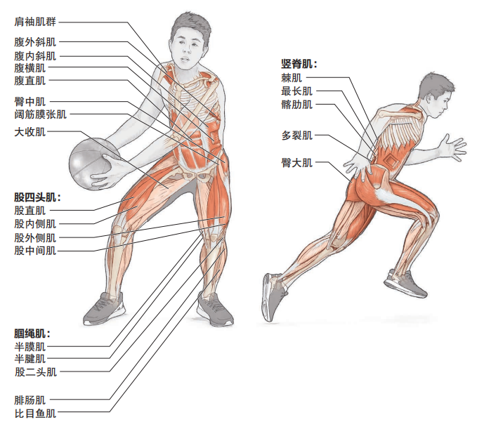 get这套组合训练,让你更快提升全身爆发力