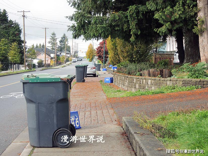 独栋别墅的住户需要将垃圾桶(筐)自行放到马路边上(从自家院子推到