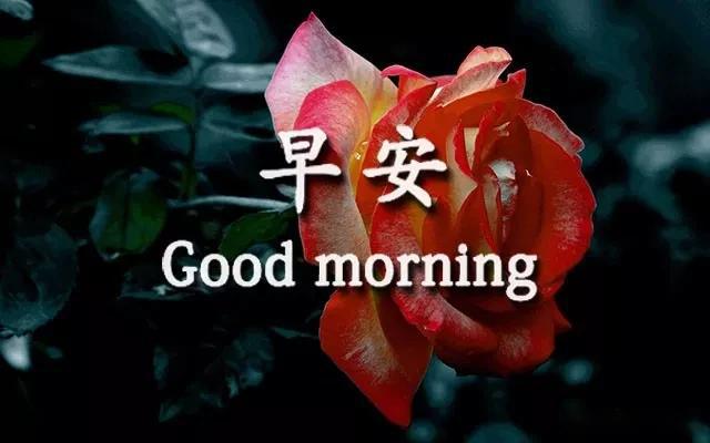 早安,朋友,愿你今天好心情,生活工作都舒心