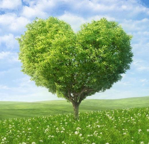 心里有颗树是什么成语_什么有什么为成语(2)