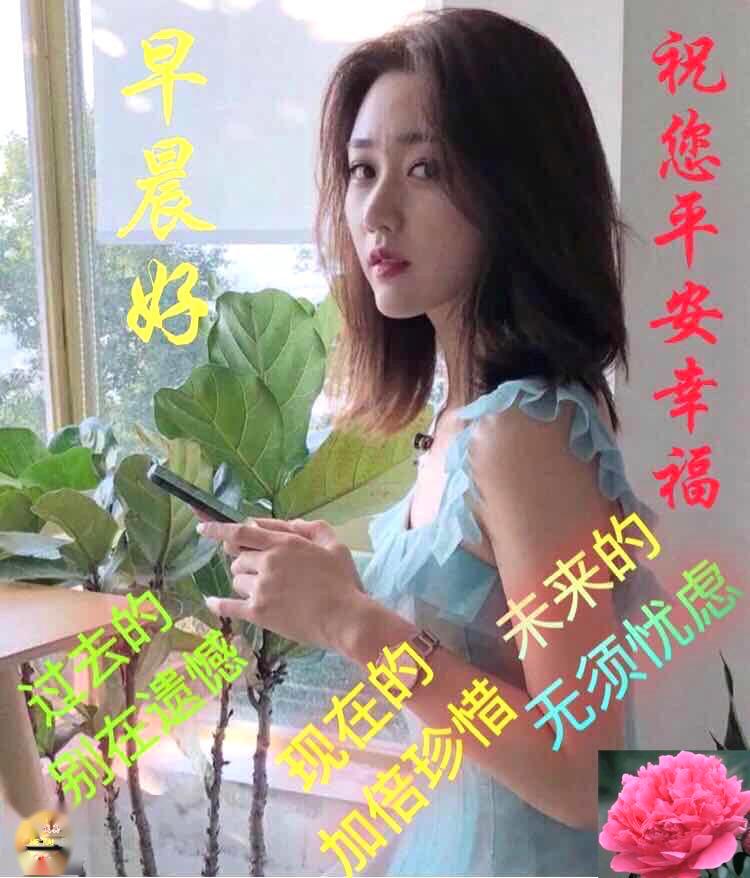 漂亮的美女早上好问候表情图片带字带祝福语