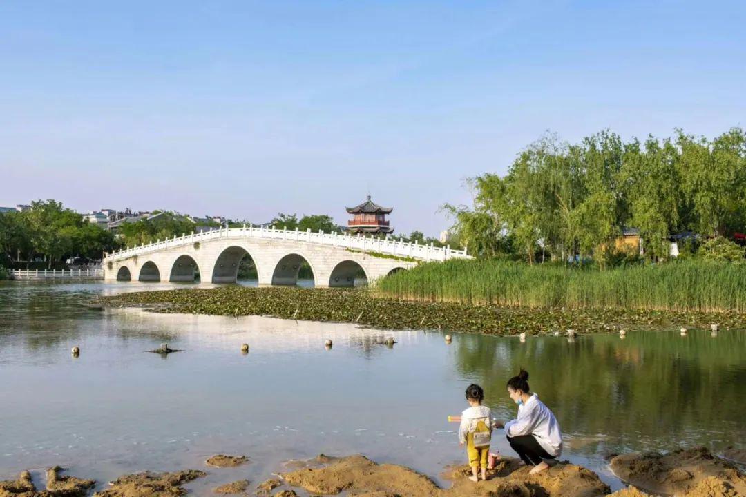 随手拍作品选登| 夏天你好!镜头下的桓台真美