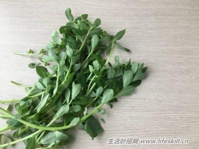 野菜纯天然有营养,你知道怎么吃吗?