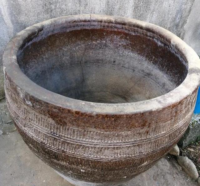 原创适合用大花盆养的花大水缸养花30年不换盆几代人养成传家宝