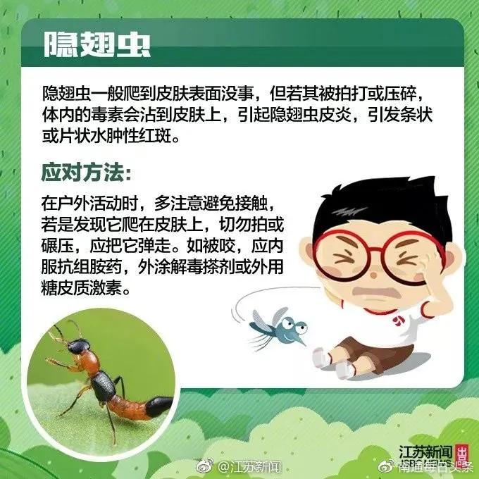 [男童]宝宝更易中招，已数千人被咬伤警惕！13岁男童被虫咬生命垂危
