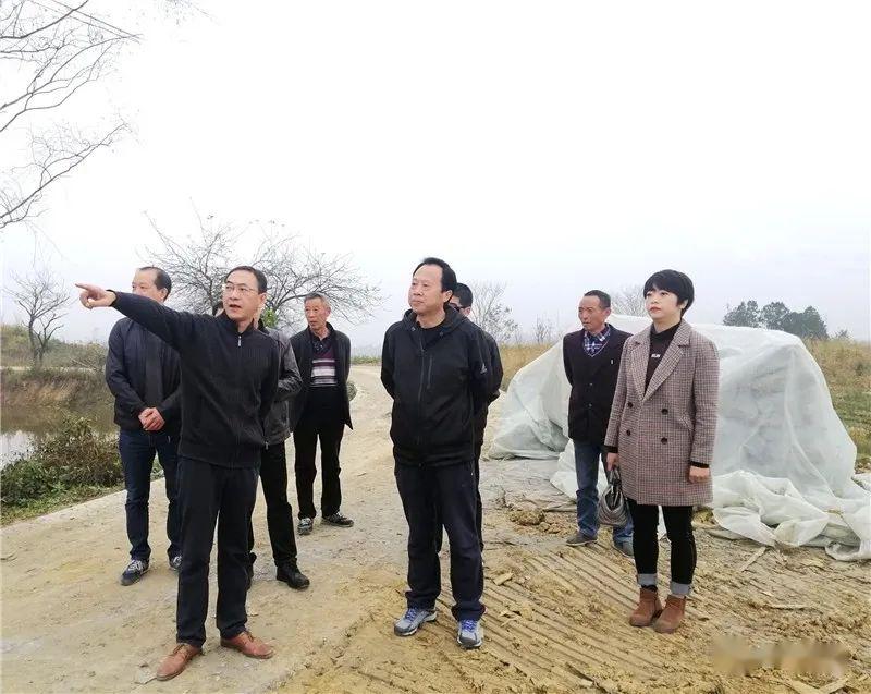 履职尽责善作为攻坚克难勇担当平利县政协亮点工作回眸