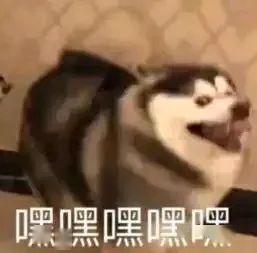 a924b4a2fa5b411d958714911c022153.jpeg