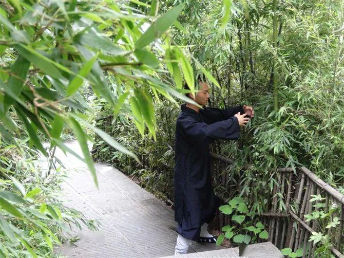 站桩时这一点不容忽视否则效果大打折扣