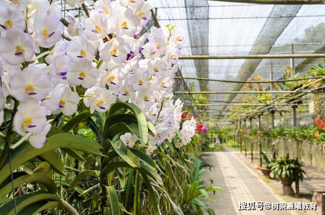 【中医药】全是名校，毕业生不用愁工作我国中医药专业最强的5所高校