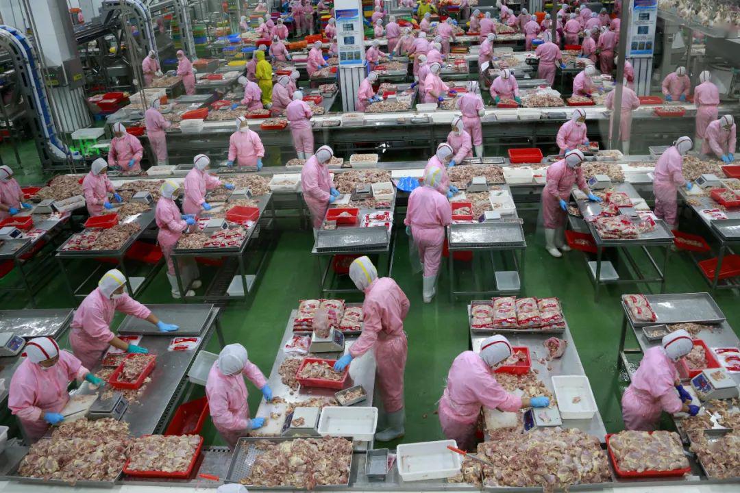 -辽宁阜新大露天煤矿与这里的百姓故事