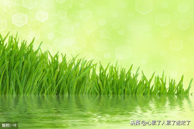 bfb06ef0bb1e4750b4dcc475ac8f1780.jpeg