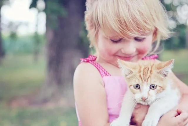 『宝宝』新添宝宝就要把猫咪送走？并不用！教你宝宝与猫咪相处的正确方法
