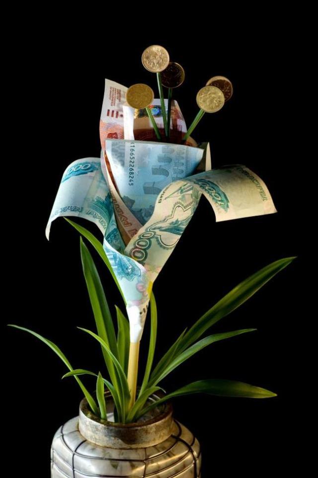 心理测试:3朵金钱花,只能拿走一朵,测你6月的财运有多旺?