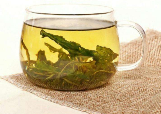 婆婆丁学名叫蒲公英吗 ca4bafd8a2c847d09d6a41bf55fc68f8.png