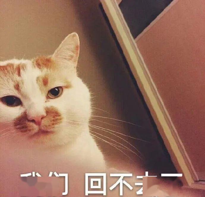 低头认错_表情